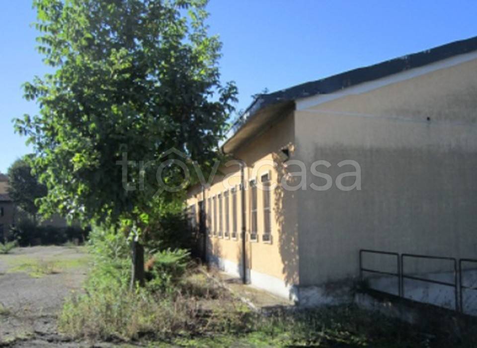 immagine annuncio 3 di 12