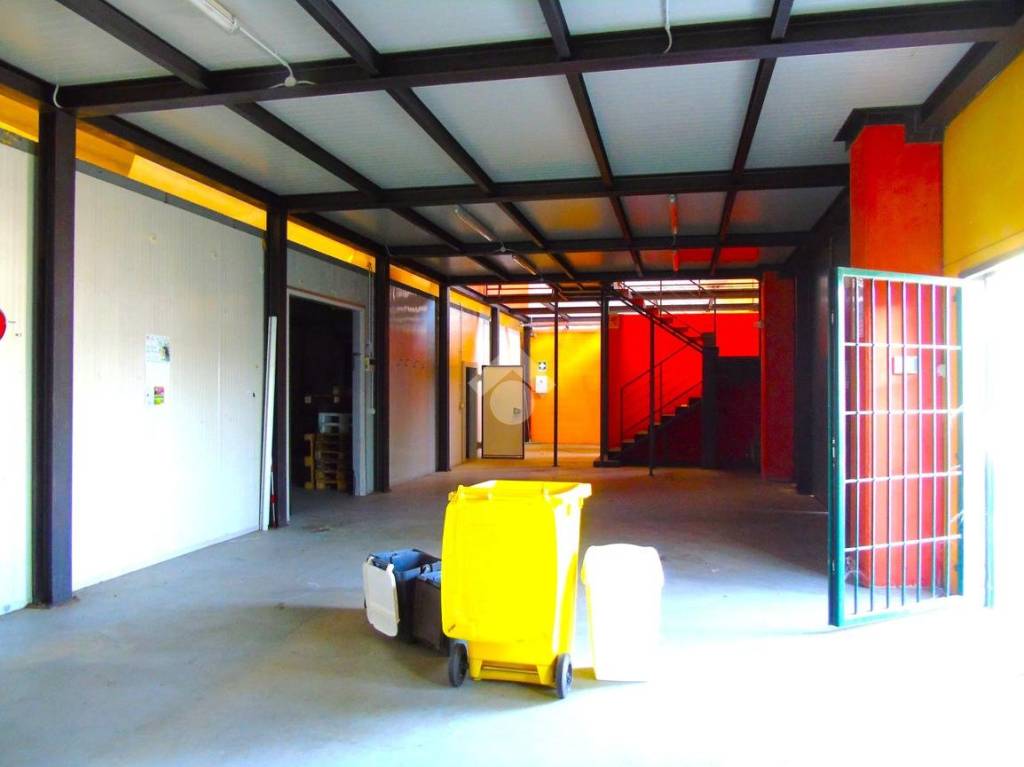 immagine annuncio 4 di 15