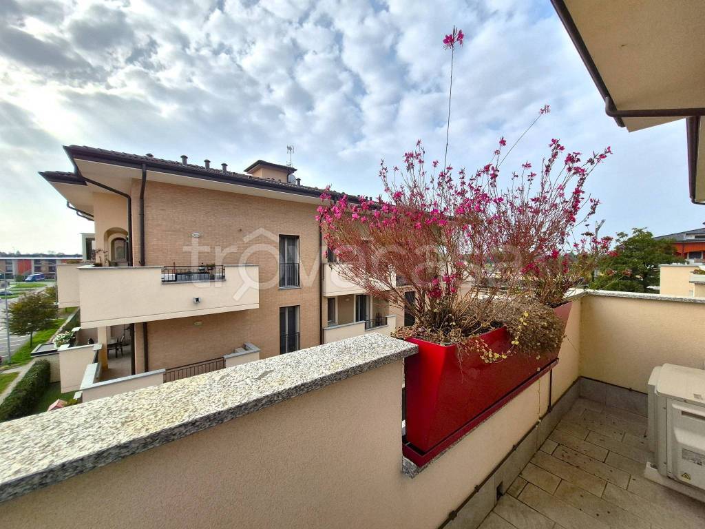 immagine annuncio 11 di 15