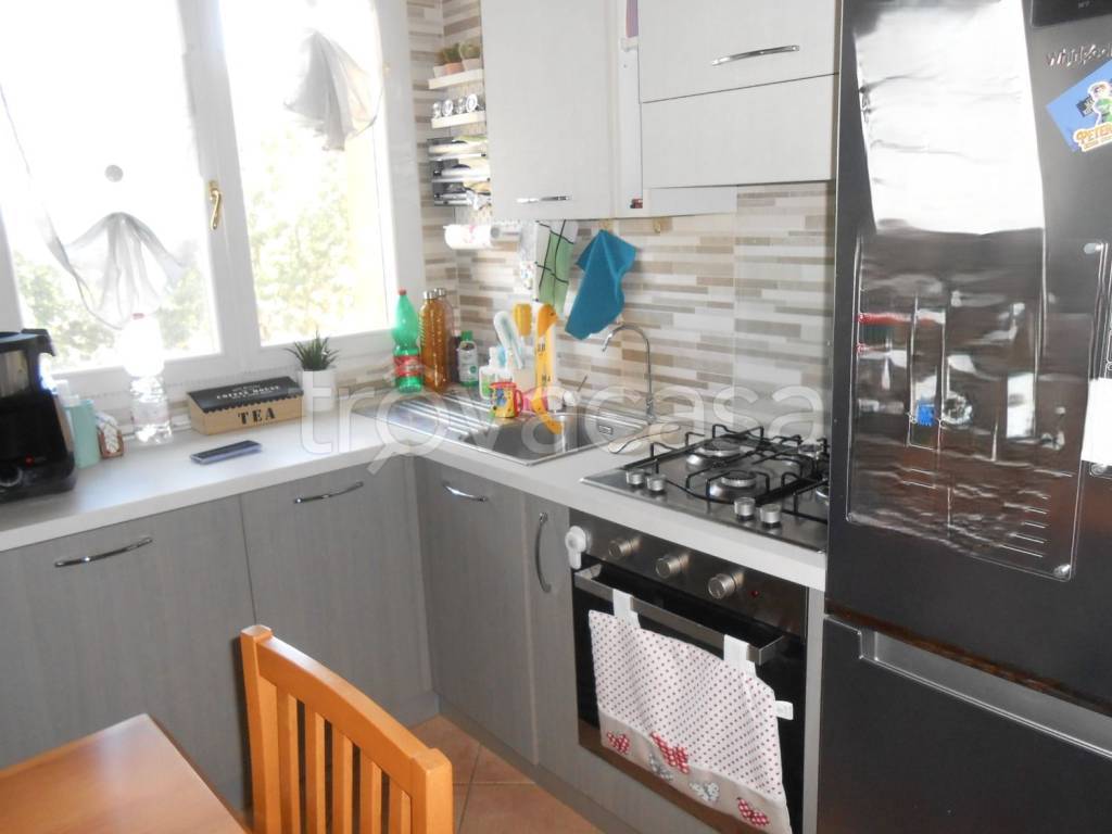 immagine annuncio 12 di 13