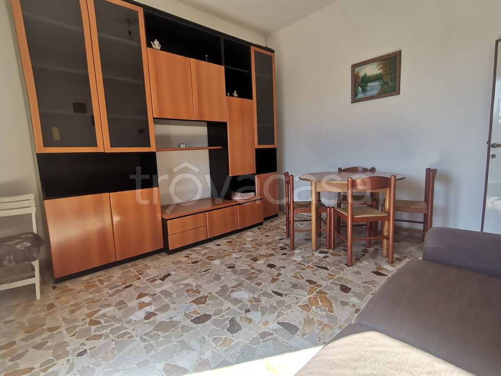 immagine annuncio 11 di 14