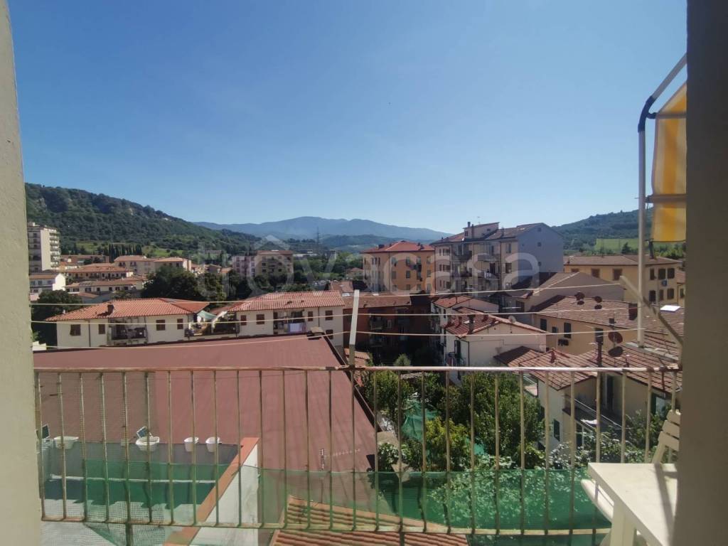 immagine annuncio 12 di 14