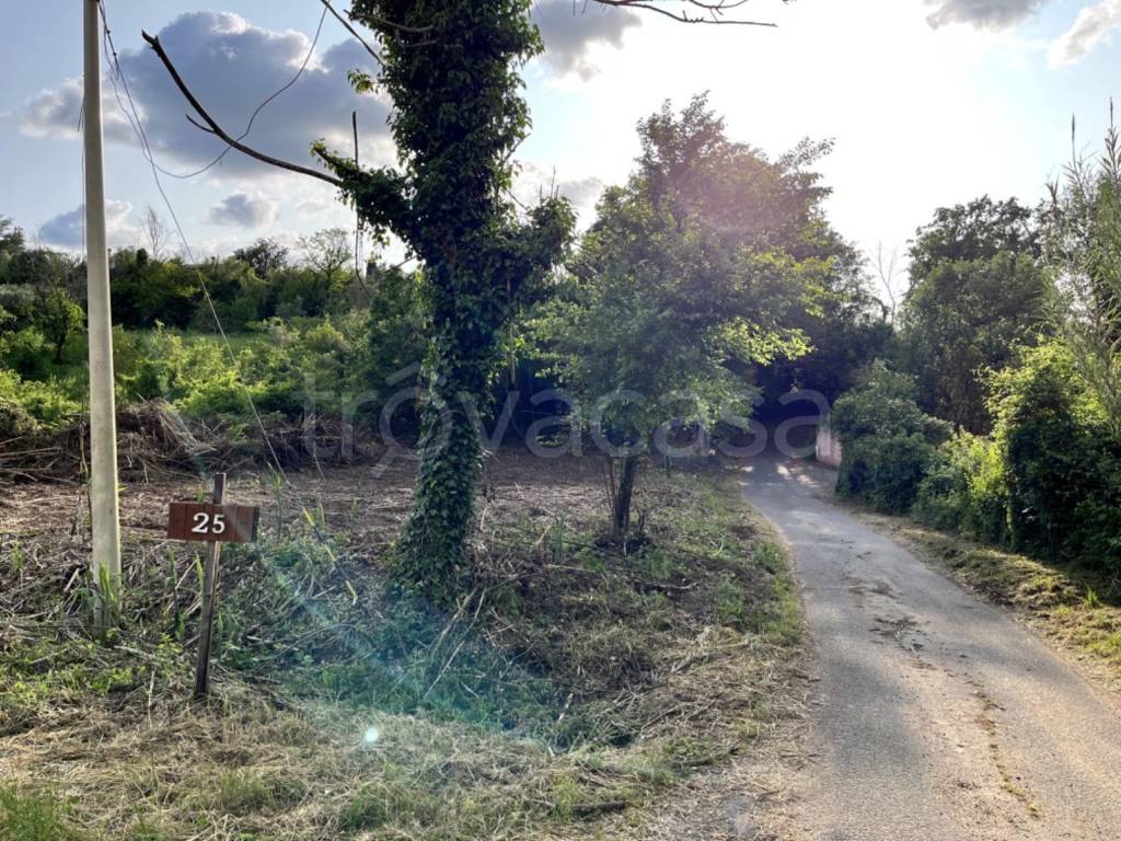 immagine annuncio 7 di 13