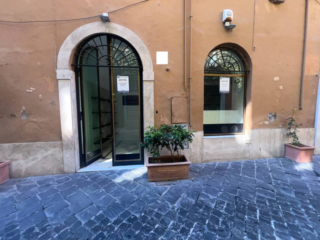 immagine annuncio 10 di 14