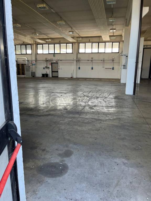 immagine annuncio 11 di 12