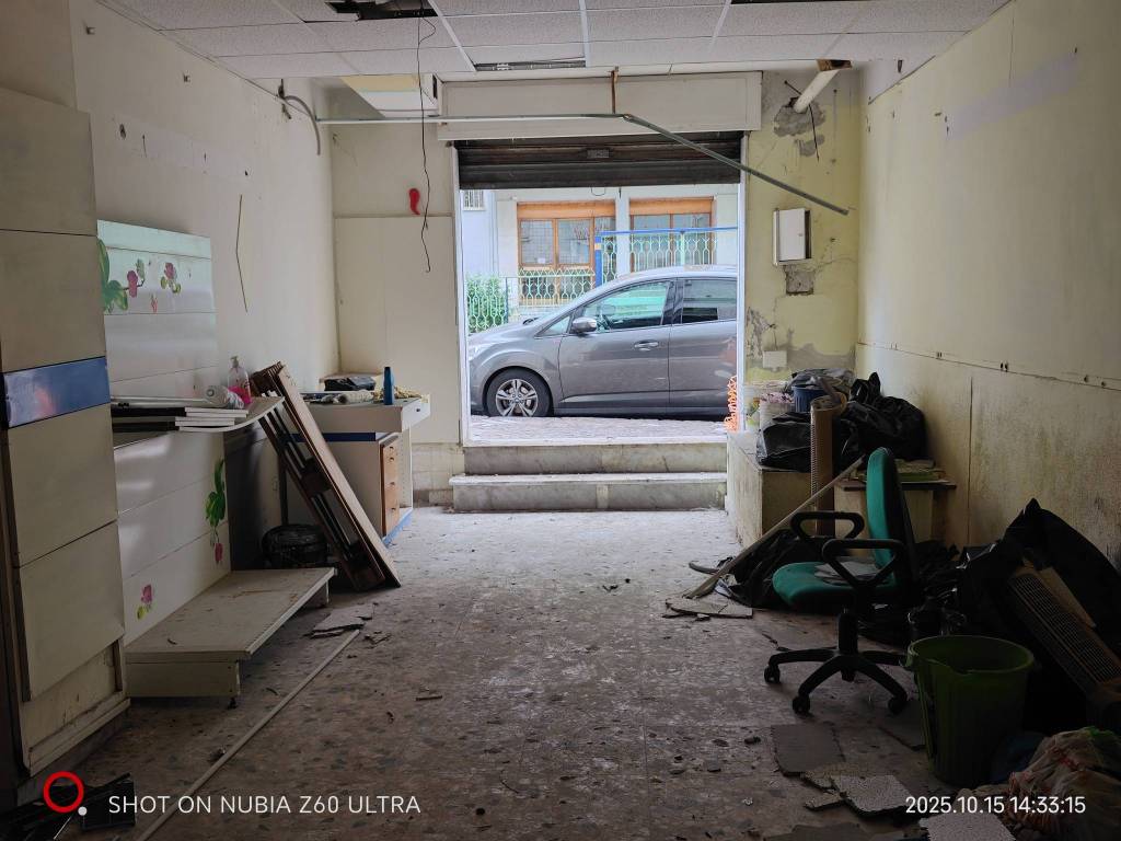 immagine annuncio 11 di 14