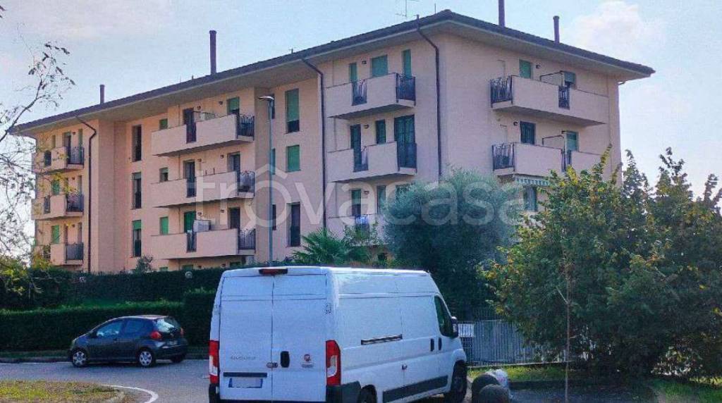 immagine annuncio 1 di 11