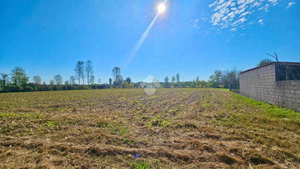 immagine annuncio 4 di 6