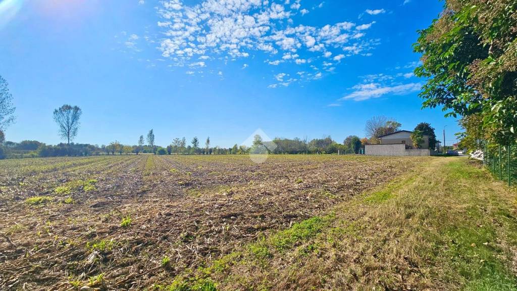 immagine annuncio 5 di 6