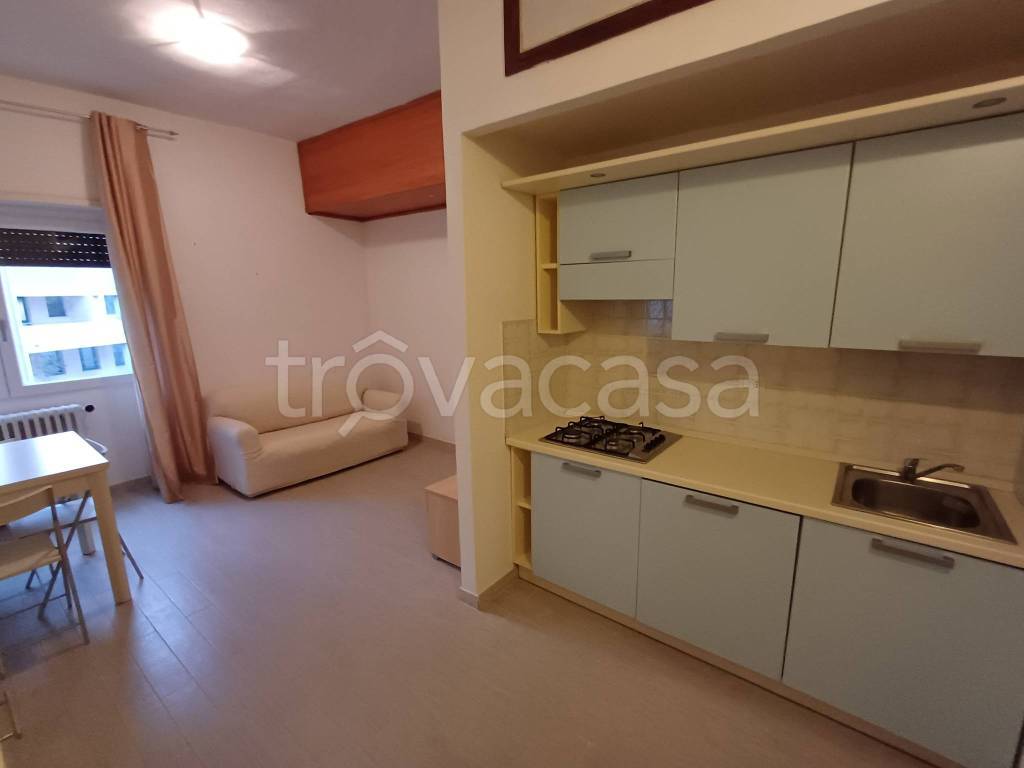 immagine annuncio 12 di 14