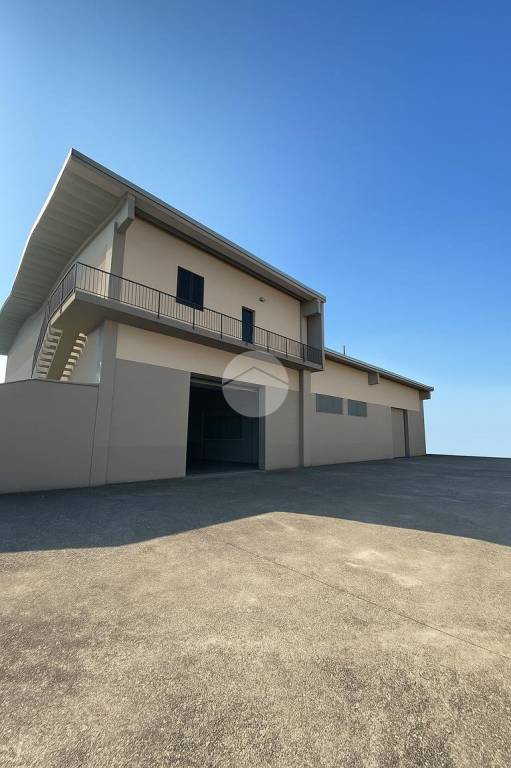 immagine annuncio 8 di 11