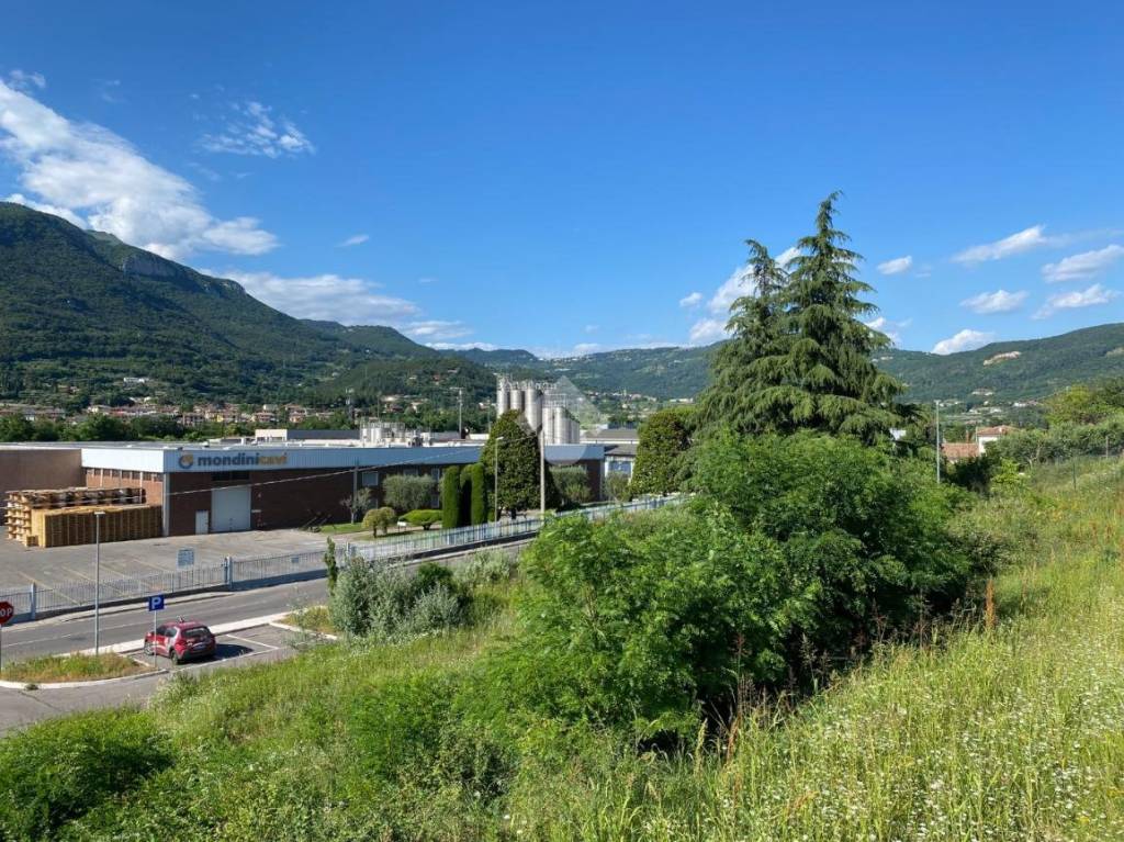 immagine annuncio 5 di 9