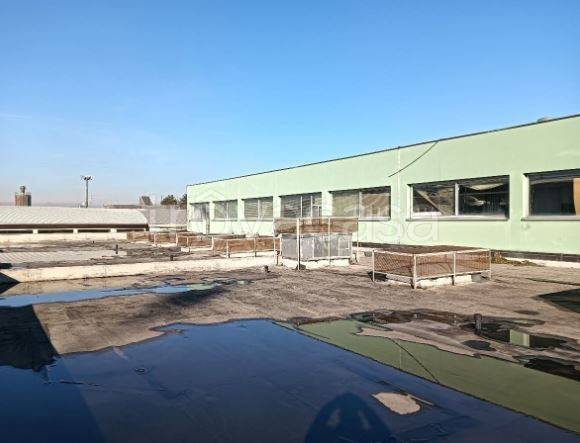 immagine annuncio 3 di 13