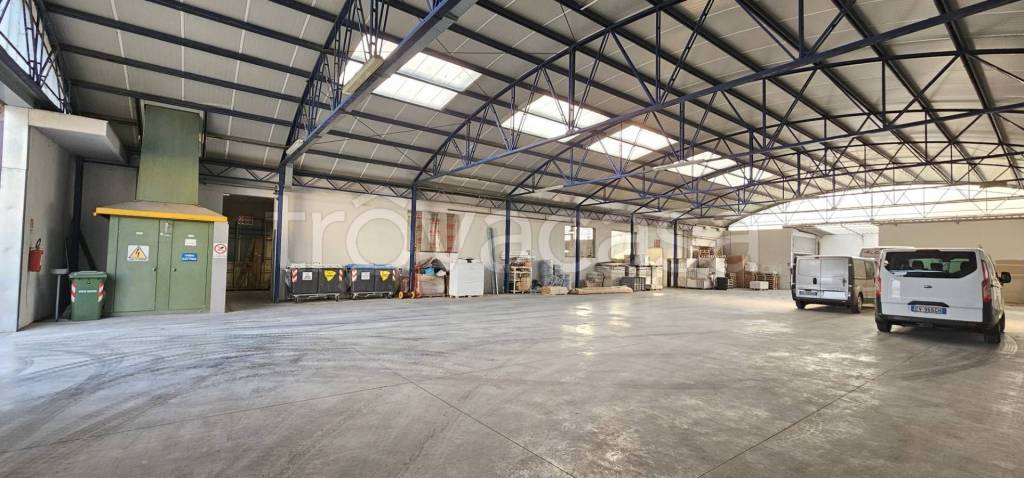 immagine annuncio 9 di 15