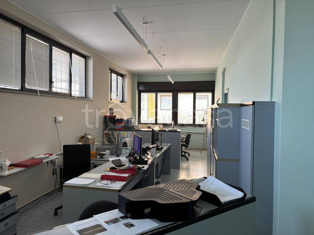 immagine annuncio 6 di 7