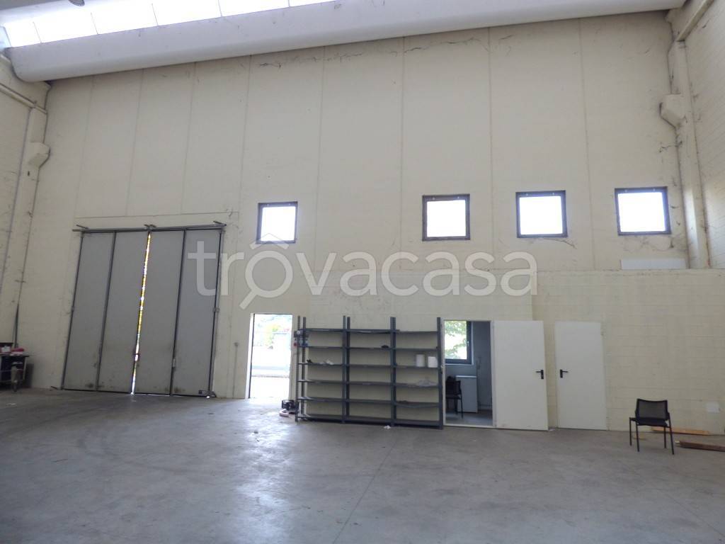 immagine annuncio 9 di 12