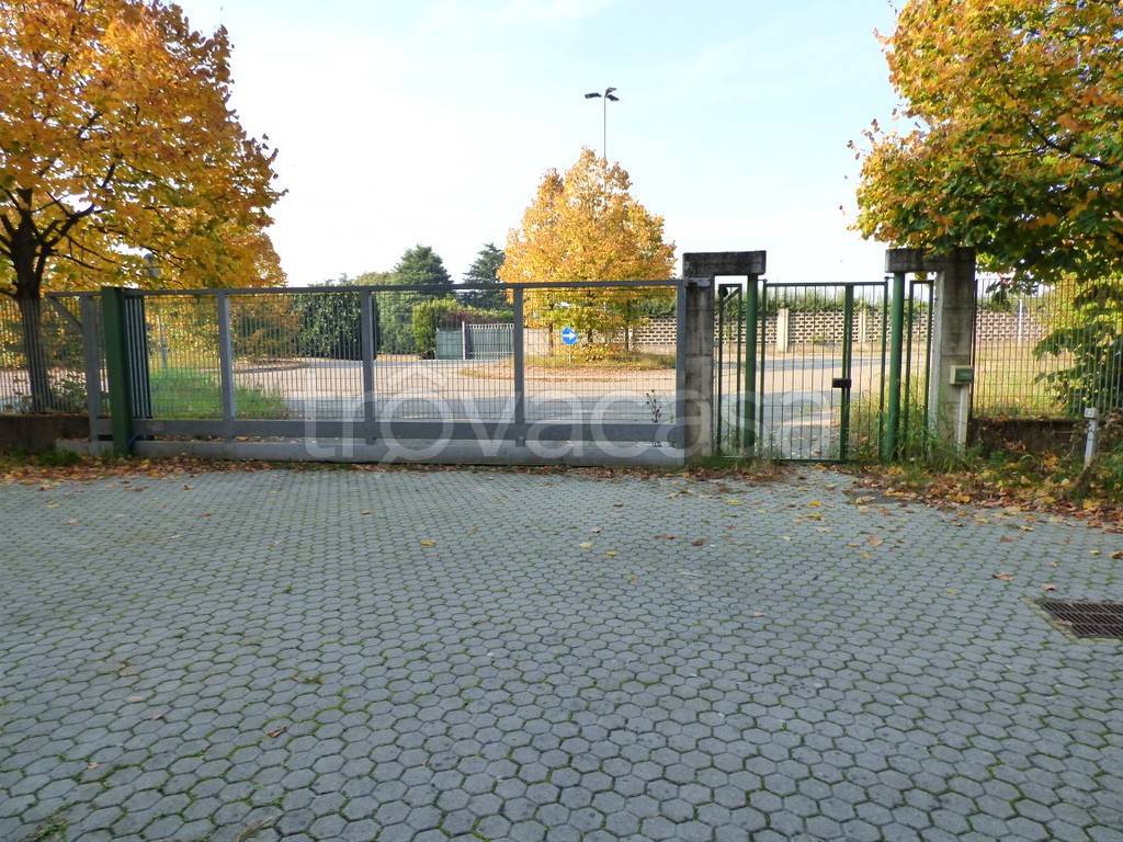 immagine annuncio 2 di 11