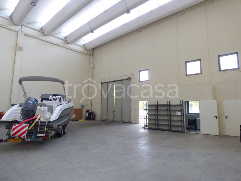 immagine annuncio 6 di 11