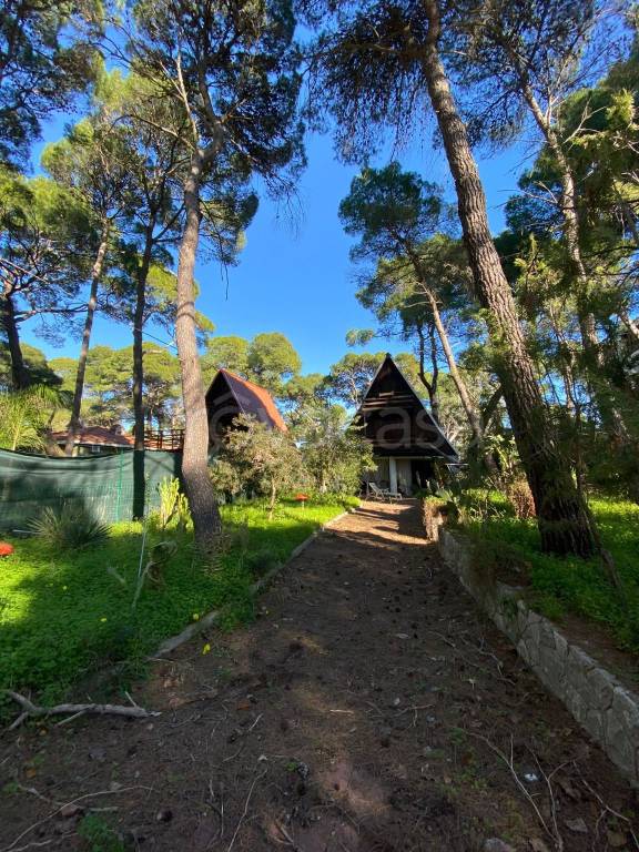 immagine annuncio 2 di 9