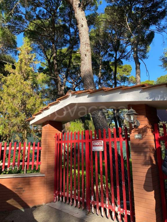 immagine annuncio 8 di 9