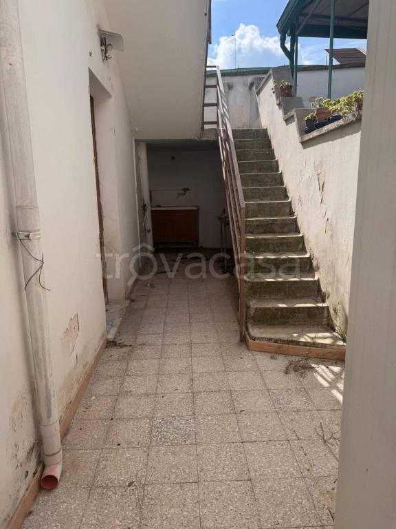 immagine annuncio 4 di 7