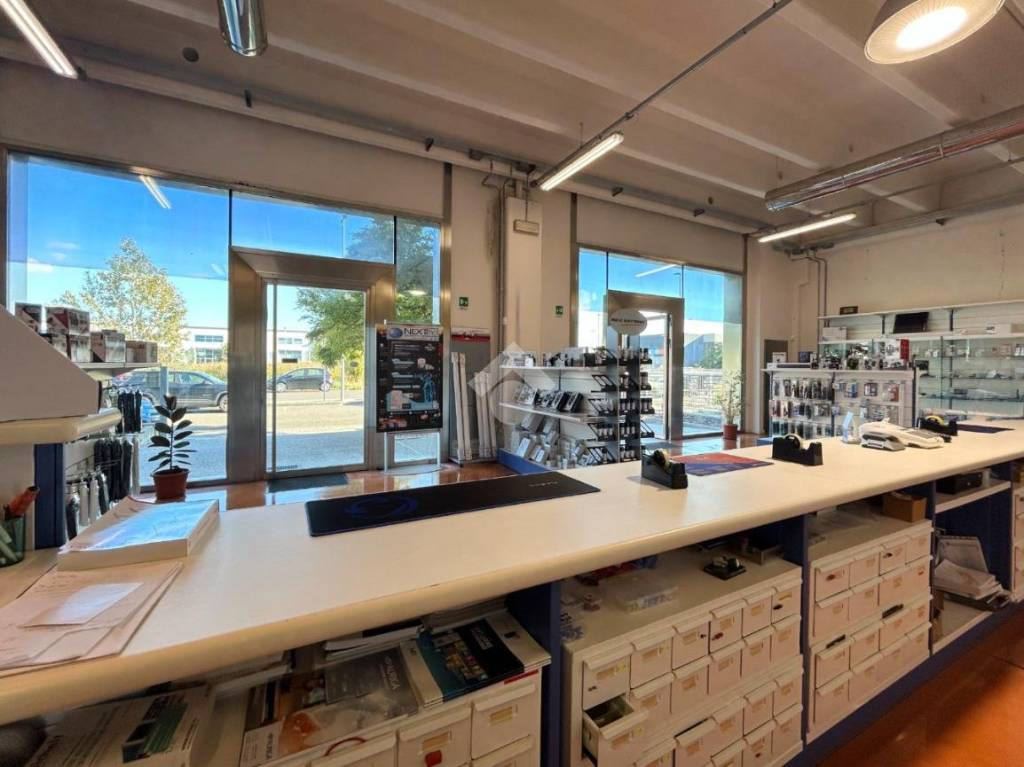 immagine annuncio 9 di 15