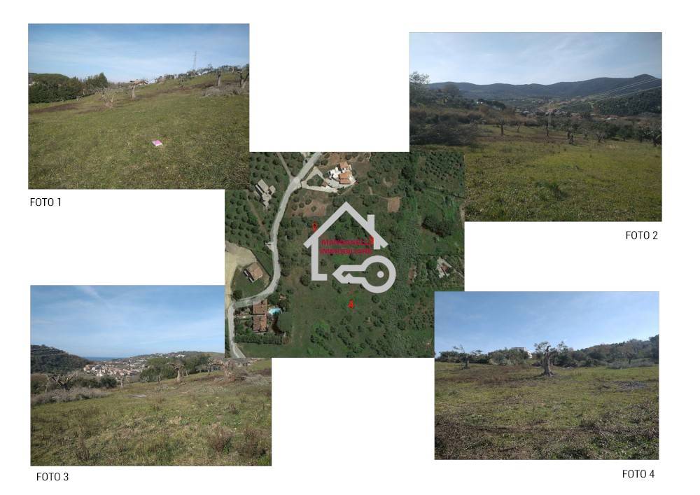 immagine annuncio 2 di 13