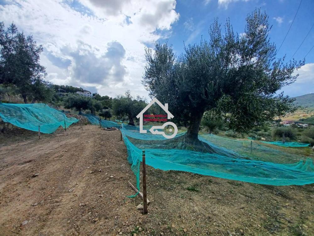 immagine annuncio 4 di 13