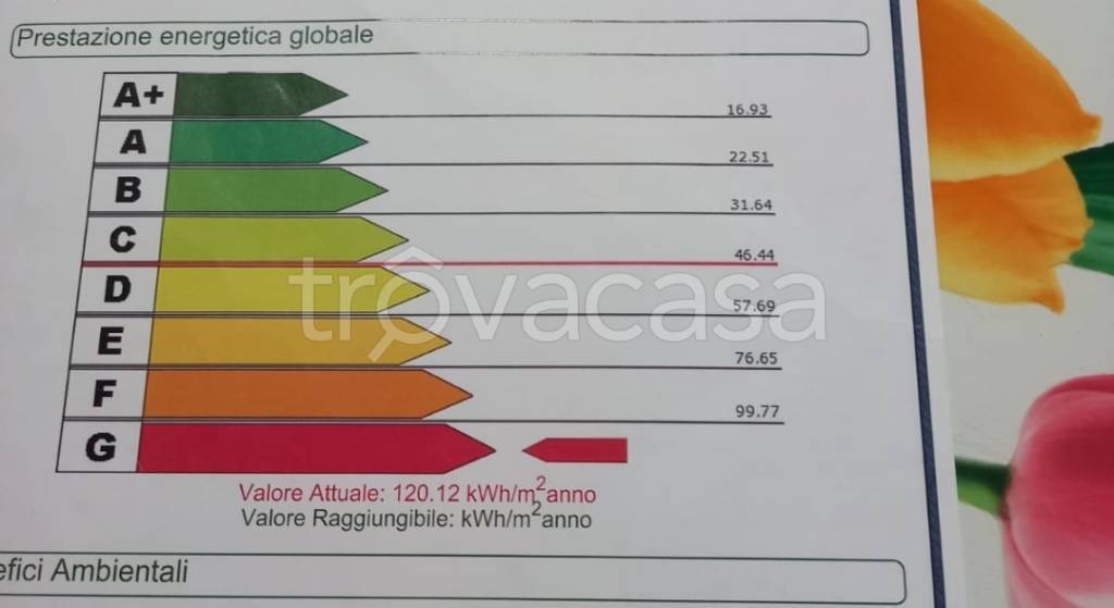 immagine annuncio 13 di 14
