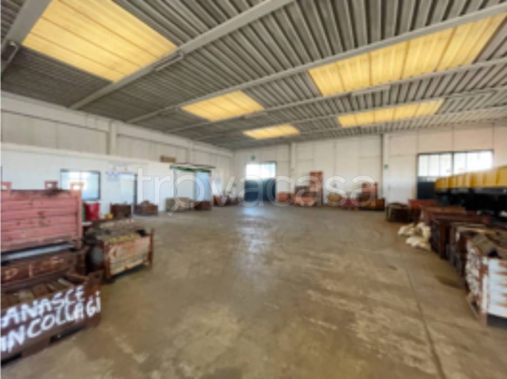 immagine annuncio 3 di 12