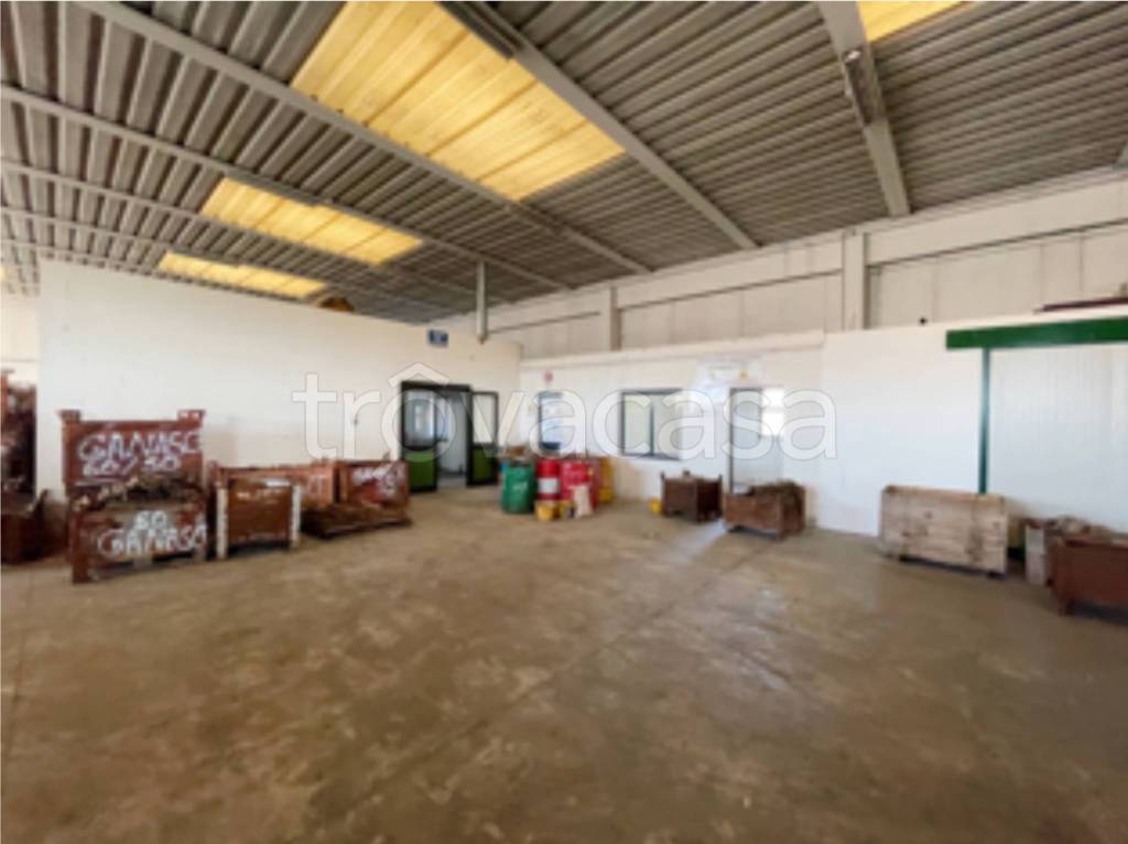 immagine annuncio 4 di 12