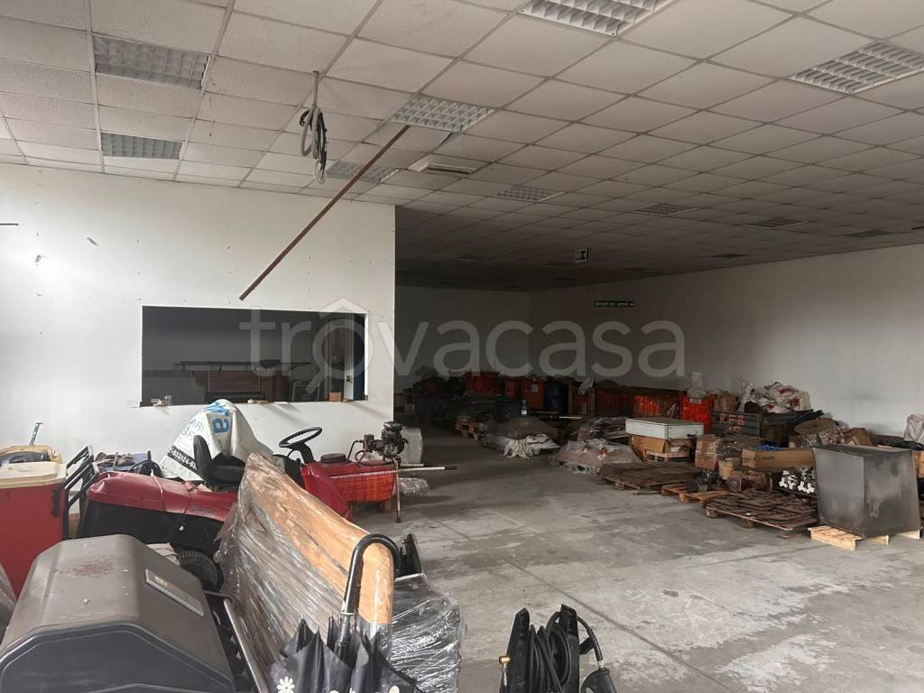 immagine annuncio 2 di 12