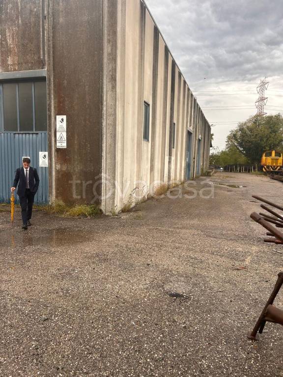 immagine annuncio 10 di 12