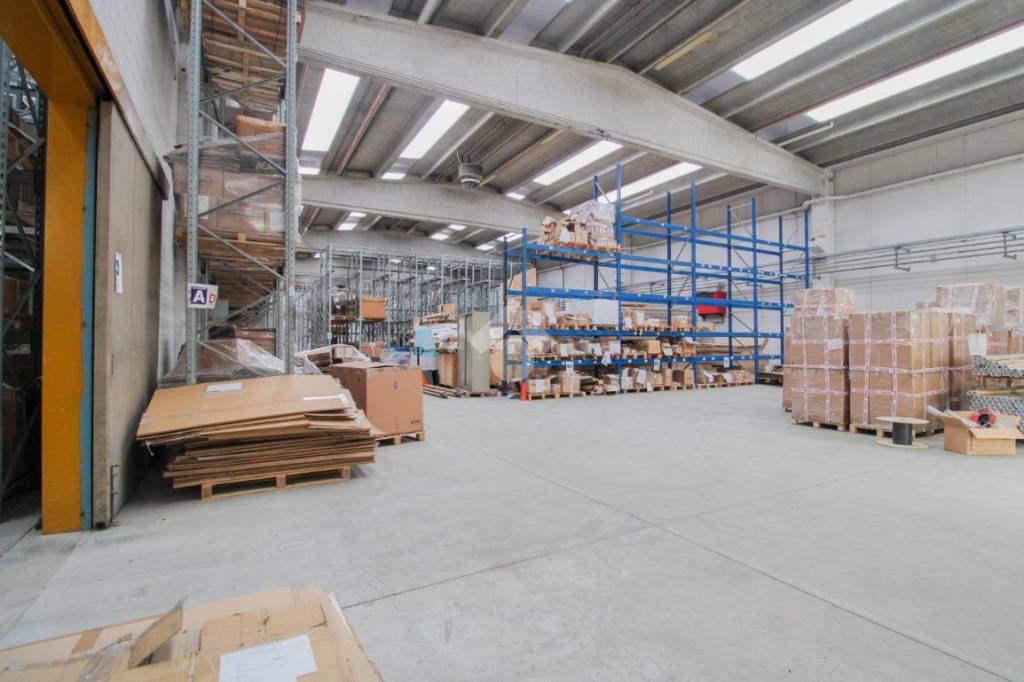 immagine annuncio 1 di 15