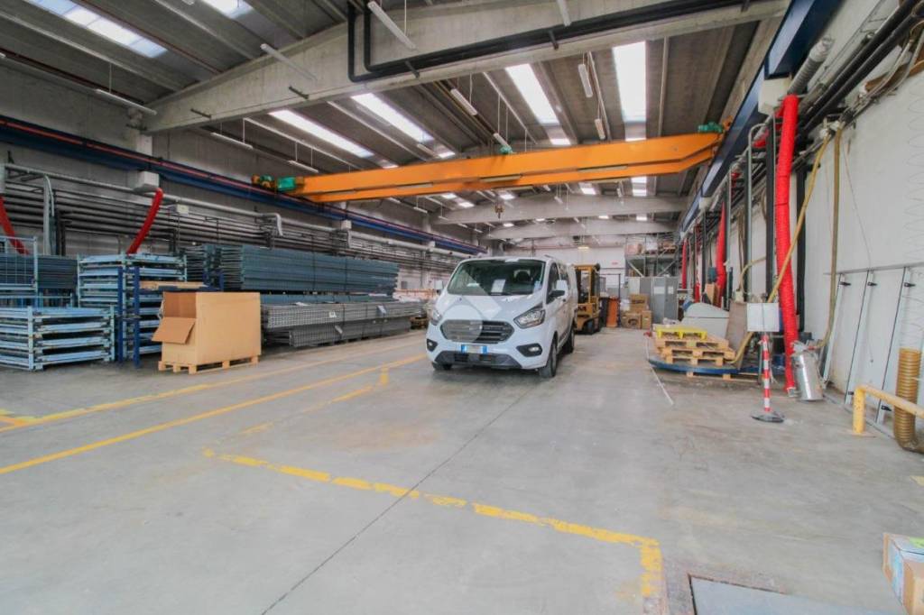 immagine annuncio 6 di 15