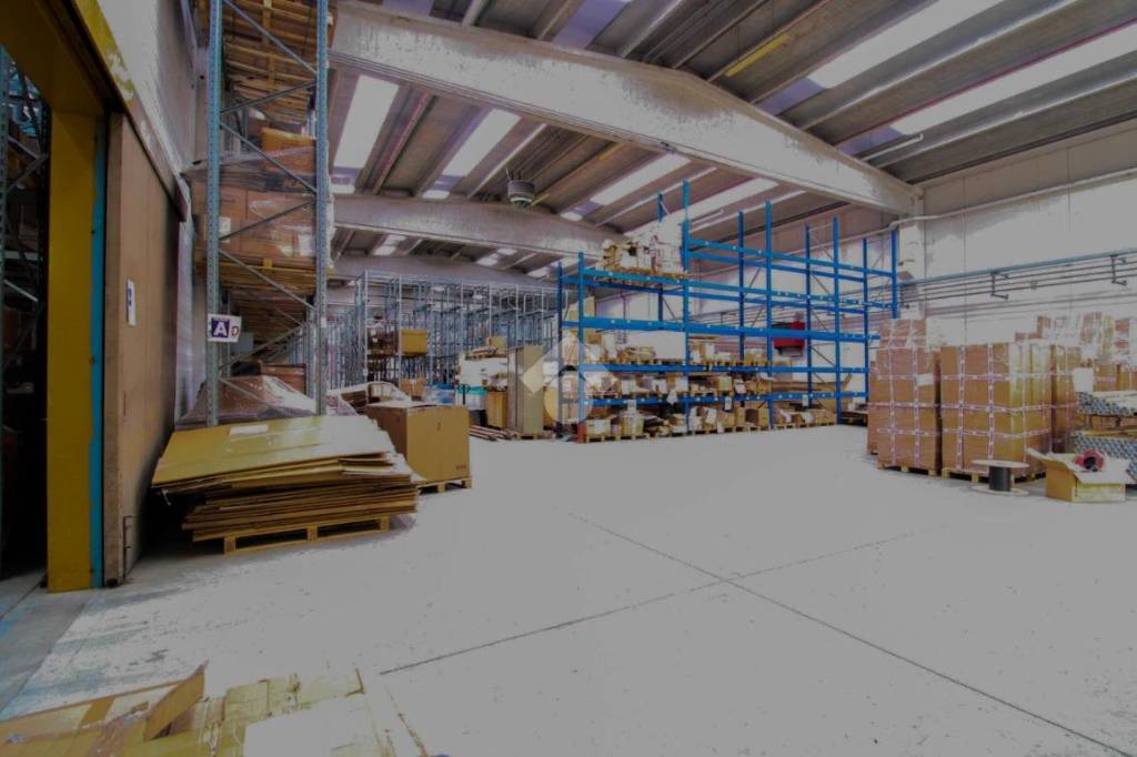 immagine annuncio 9 di 15