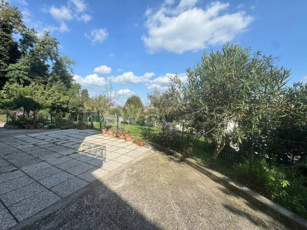 immagine annuncio 11 di 12