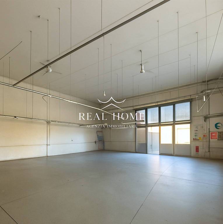 immagine annuncio 3 di 8