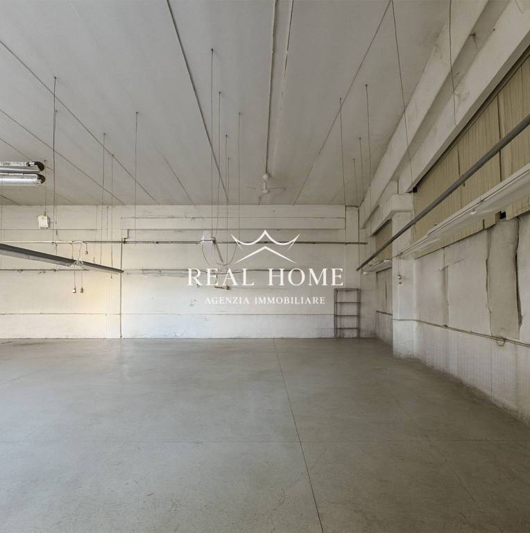 immagine annuncio 4 di 8