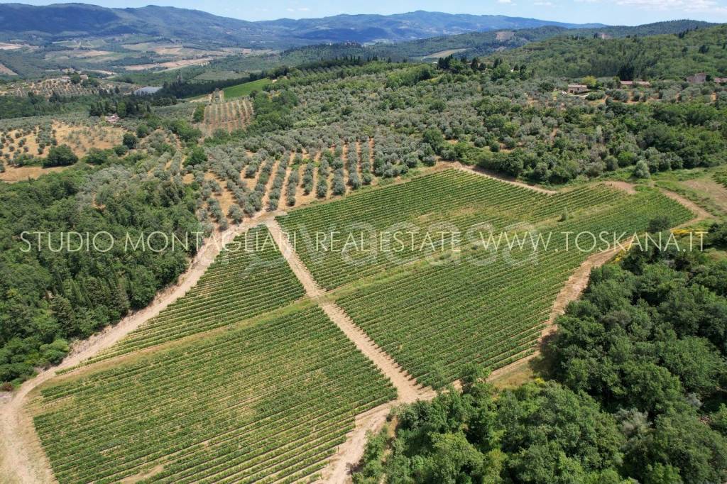 azienda agricola in vendita a San Casciano in Val di Pesa