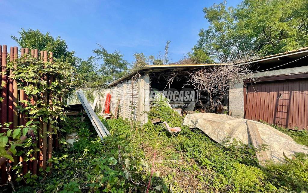 immagine annuncio 9 di 15