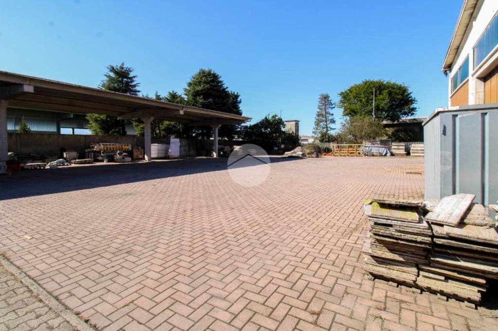 immagine annuncio 12 di 15