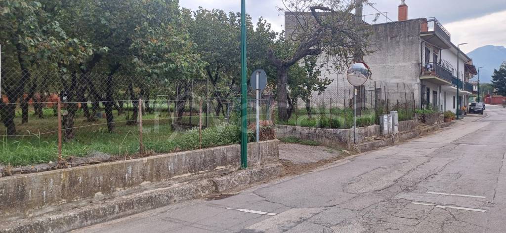 immagine annuncio 2 di 9