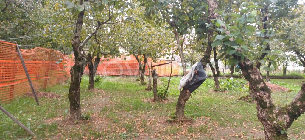 immagine annuncio 5 di 9