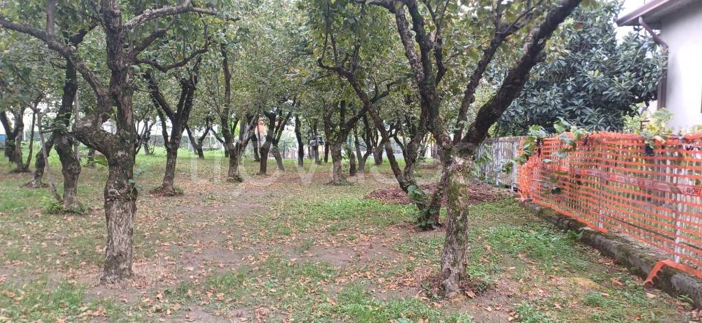 immagine annuncio 6 di 9