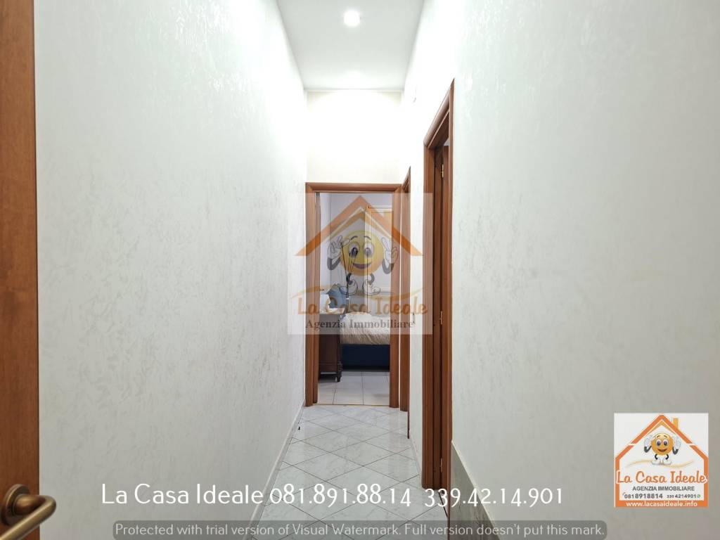 immagine annuncio 5 di 14