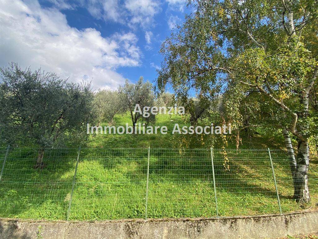 immagine annuncio 2 di 9