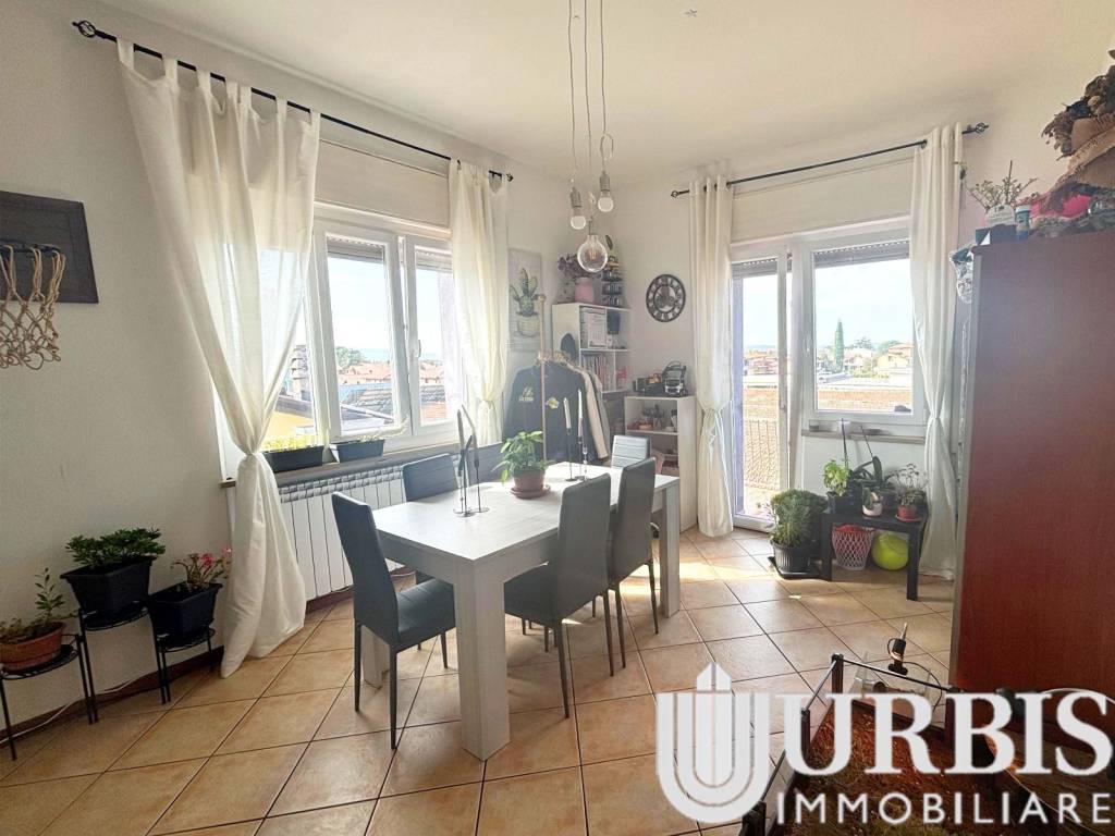 immagine annuncio 4 di 13