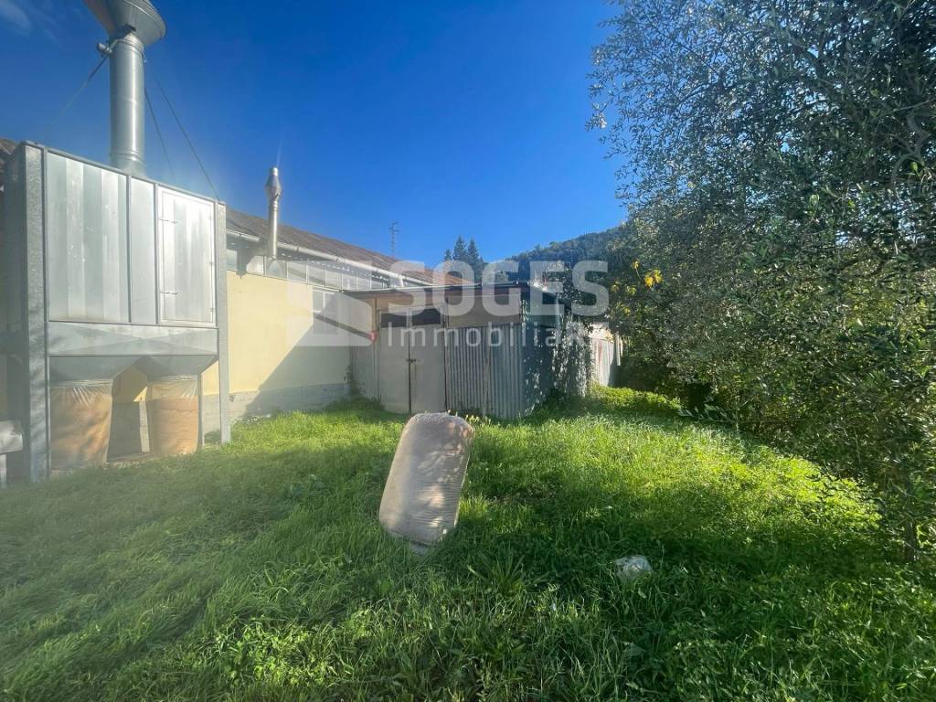 immagine annuncio 3 di 14