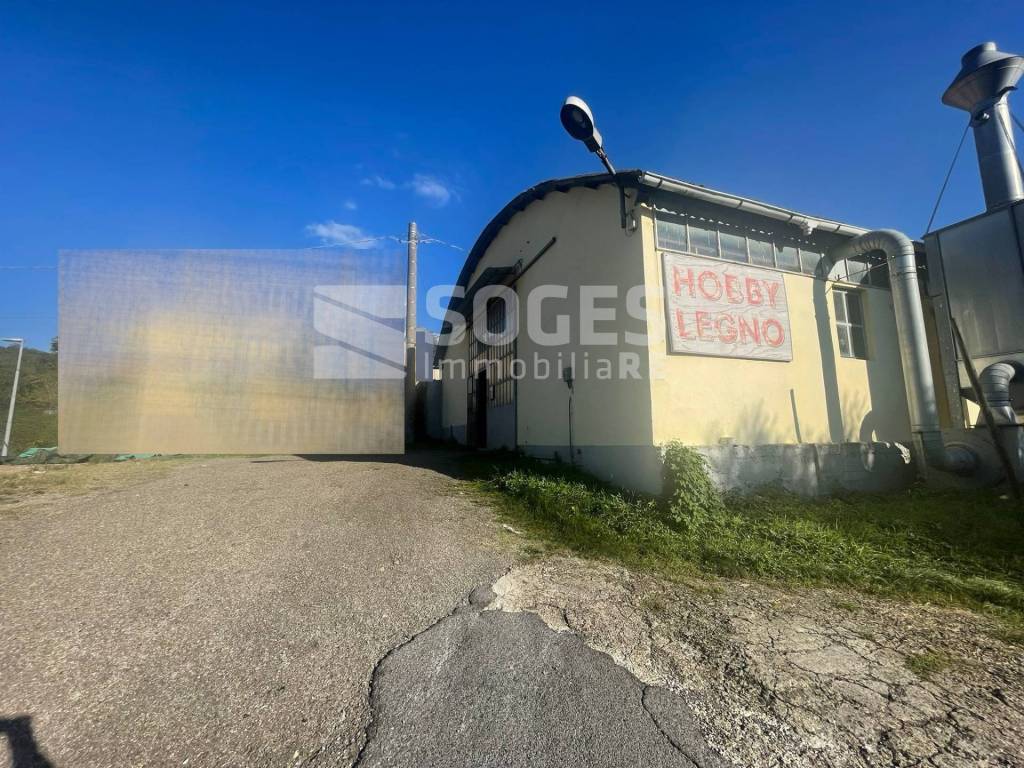 immagine annuncio 4 di 14